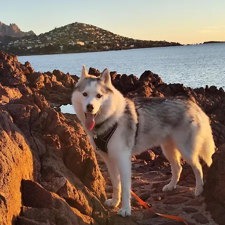 T2 Vue Mer, Jardin Clos, Village Cap Esterel St Raphael Daire *